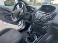 Ford B-Max 1.4 90 CV*Neopatentati* Bianco - thumbnail 11