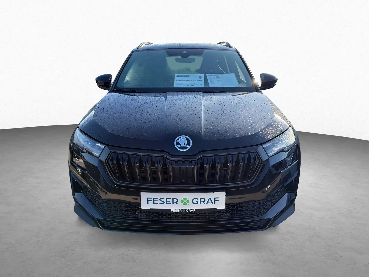 Skoda Karoq 2.0 TSI 7-Gang DSG Sportline 4x4/ACC/360° Schwarz - 2