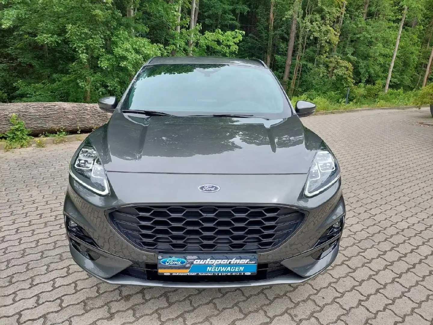 Ford Kuga ST-Line X Grau - 2