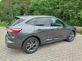 Ford Kuga ST-Line X Grau - thumbnail 5