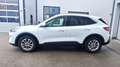 Ford Kuga FHEV AWD Titanium X, Erstbesitz, NP € 50.712,- Wit - thumbnail 2