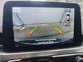 Ford Kuga FHEV AWD Titanium X, Erstbesitz, NP € 50.712,- Wit - thumbnail 9