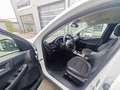 Ford Kuga FHEV AWD Titanium X, Erstbesitz, NP € 50.712,- Wit - thumbnail 3