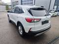 Ford Kuga FHEV AWD Titanium X, Erstbesitz, NP € 50.712,- Wit - thumbnail 28