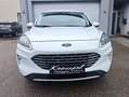 Ford Kuga FHEV AWD Titanium X, Erstbesitz, NP € 50.712,- Wit - thumbnail 41