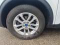 Ford Kuga FHEV AWD Titanium X, Erstbesitz, NP € 50.712,- Wit - thumbnail 42
