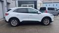 Ford Kuga FHEV AWD Titanium X, Erstbesitz, NP € 50.712,- Wit - thumbnail 37