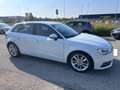 Audi A3 SPB 1.6 TDI 105 CV S tronic Business Bianco - thumbnail 5