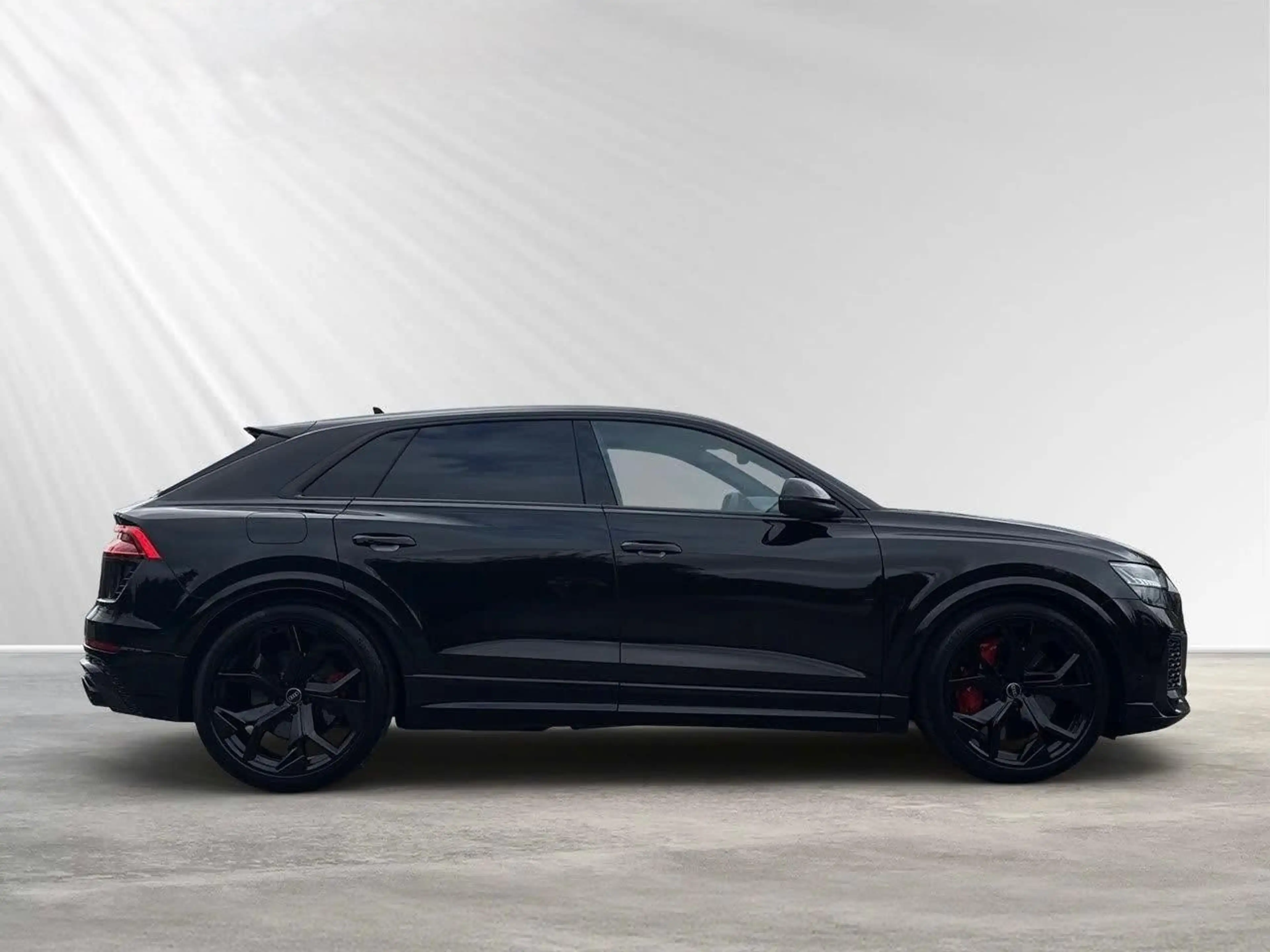 Audi RS Q8 4.0 TFSI quattro — photo 9