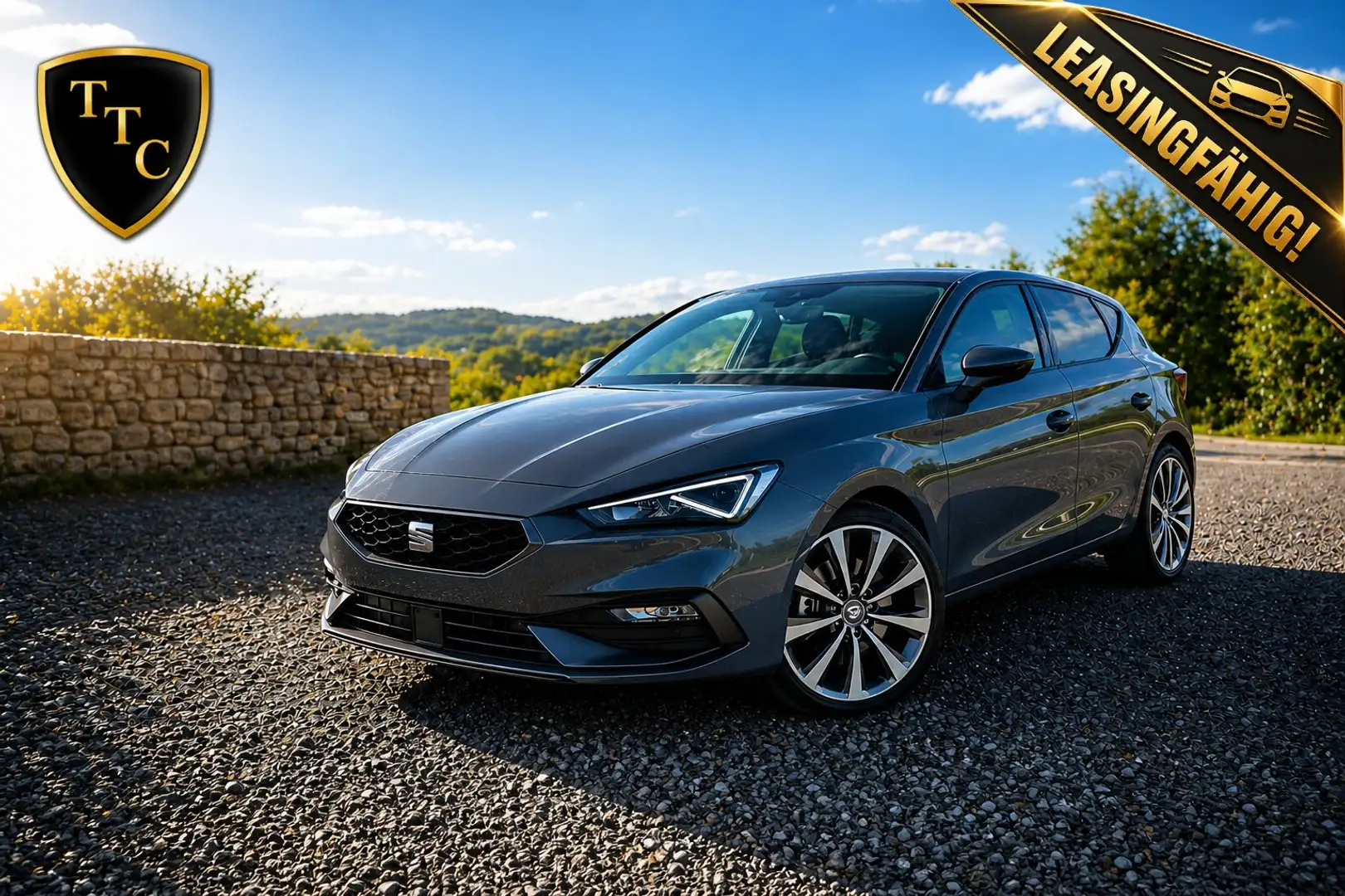 SEAT Leon FR Grau - 1