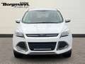 Ford Kuga Trend 1.5 AHK - Keyless Go - Tempomat - Bordcomput Blanco - thumbnail 2