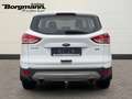 Ford Kuga Trend 1.5 AHK - Keyless Go - Tempomat - Bordcomput Blanco - thumbnail 5
