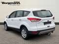 Ford Kuga Trend 1.5 AHK - Keyless Go - Tempomat - Bordcomput Blanco - thumbnail 6