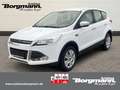 Ford Kuga Trend 1.5 AHK - Keyless Go - Tempomat - Bordcomput Blanco - thumbnail 1