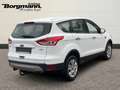 Ford Kuga Trend 1.5 AHK - Keyless Go - Tempomat - Bordcomput Blanco - thumbnail 4