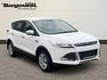 Ford Kuga Trend 1.5 AHK - Keyless Go - Tempomat - Bordcomput Blanco - thumbnail 3
