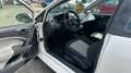 SEAT Ibiza SC Style Salsa Blanc - thumbnail 11