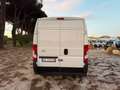 Citroen Jumper 33 BlueHDi 140 Furgone L2H2 Blanc - thumbnail 6