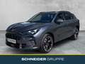 CUPRA Terramar 2.0 TSI DSG 4Drive VZ AHK+NAVI+TOPVIEW Grau - thumbnail 1