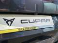 CUPRA Terramar 2.0 TSI DSG 4Drive VZ AHK+NAVI+TOPVIEW Grau - thumbnail 47