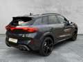 CUPRA Terramar 2.0 TSI 4Drive ABT-PAKET VZ AHK+NAVI Grau - thumbnail 5