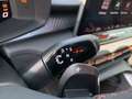 CUPRA Terramar 2.0 TSI DSG 4Drive VZ AHK+NAVI+TOPVIEW Grau - thumbnail 23