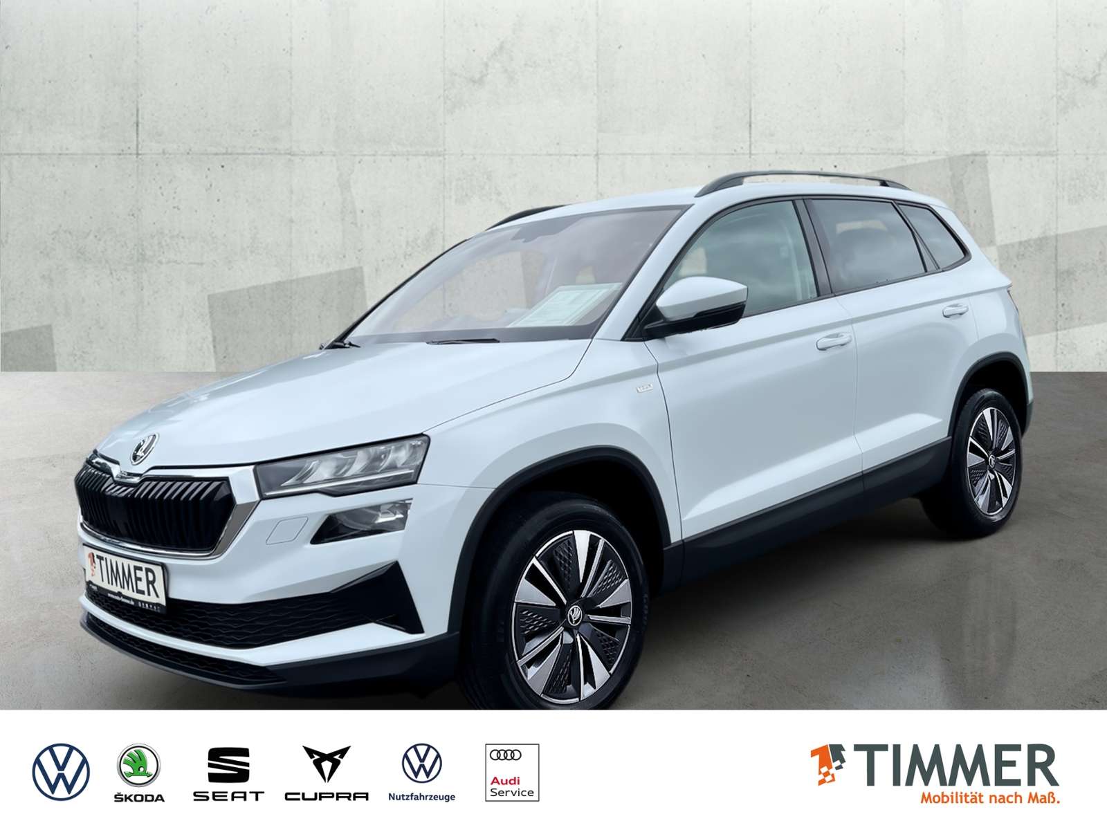 Skoda Karoq occasion