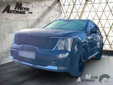 2.2 CRDi DCT AWD Platinum 7-Sitzer+GD+Premium