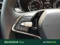 Skoda Fabia 1.0 mpi evo selection 80cv Grigio - thumbnail 9