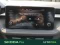 Skoda Fabia 1.0 mpi evo selection 80cv Grigio - thumbnail 13