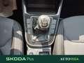 Skoda Fabia 1.0 mpi evo selection 80cv Grigio - thumbnail 12