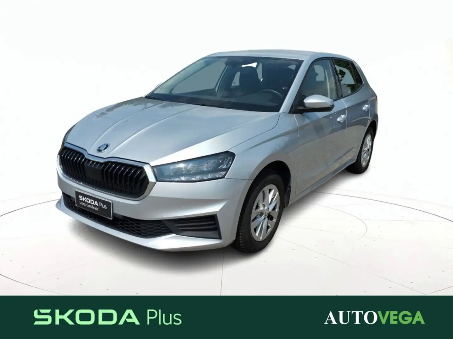 Skoda Fabia 1.0 mpi evo selection 80cv Grigio - 1