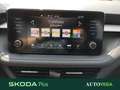Skoda Fabia 1.0 mpi evo selection 80cv Grigio - thumbnail 14
