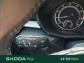 Skoda Fabia 1.0 mpi evo selection 80cv Grigio - thumbnail 11