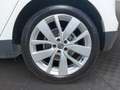Renault Scenic TCe 140 GPF Limited Weiß - thumbnail 13