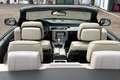 BMW 320 320d cat Cabrio Futura Argento - thumbnail 7