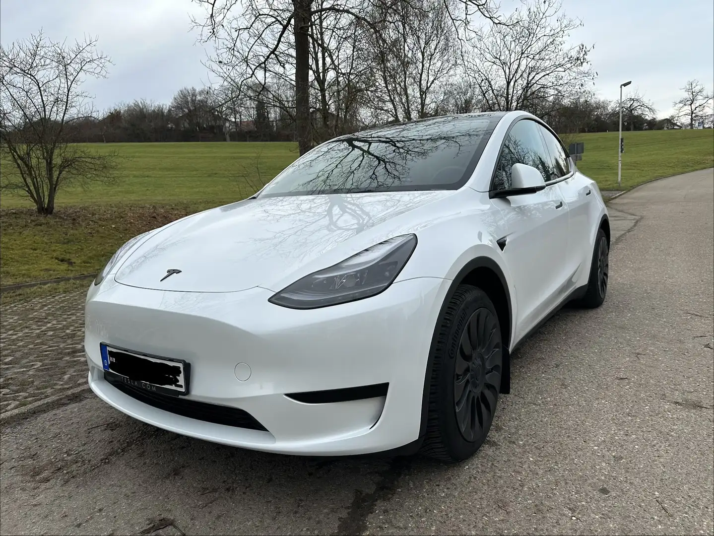 Tesla Model Y Tesla Model Y | AHK | Top-Zustand | RWD - 1