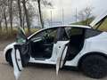 Tesla Model Y Tesla Model Y | AHK | Top-Zustand | RWD - thumbnail 6
