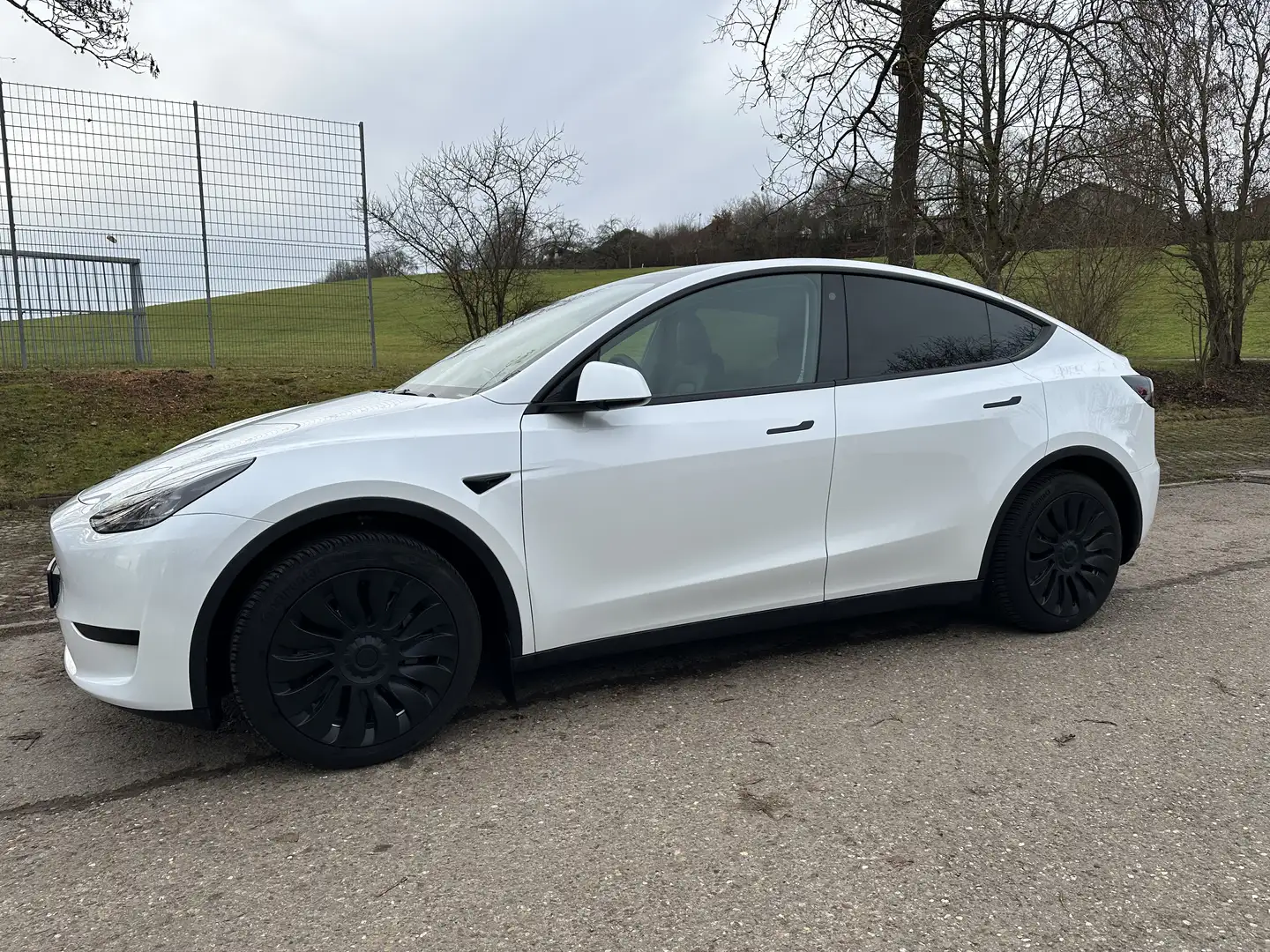 Tesla Model Y Tesla Model Y | AHK | Top-Zustand | RWD - 2