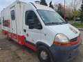 Renault Master VASP Blanc - thumbnail 2
