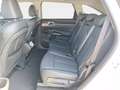 Kia Sorento MY25 HEV AWD Sitzkühlung+ACC+360°Kam+TODW Weiß - thumbnail 10