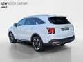Kia Sorento MY25 HEV AWD Sitzkühlung+ACC+360°Kam+TODW Weiß - thumbnail 4
