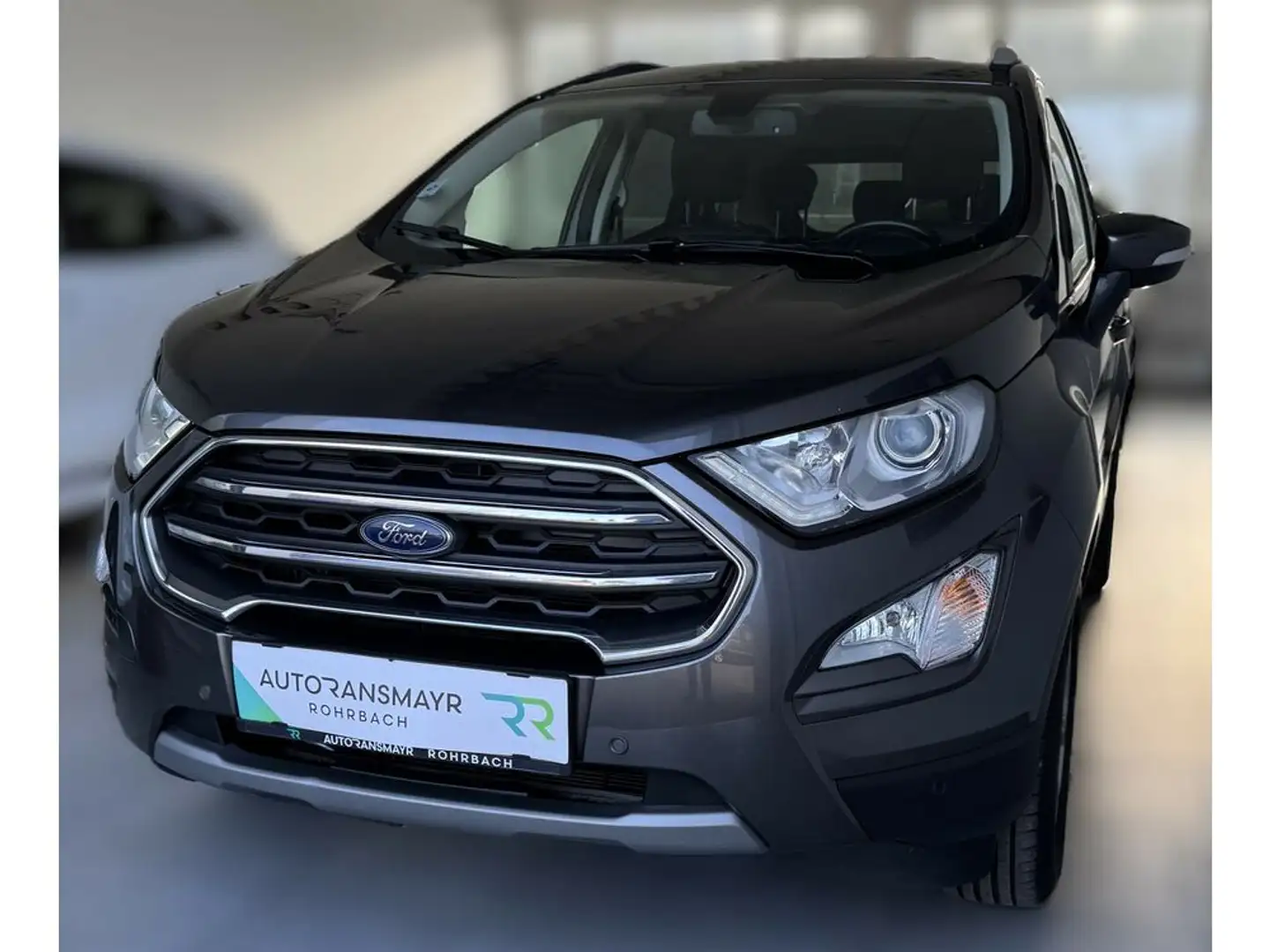 Ford EcoSport Titanium Grau - 2