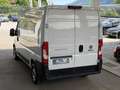 Fiat Ducato 30 L2H2 120 Weiß - thumbnail 8
