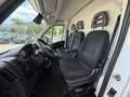 Fiat Ducato 30 L2H2 120 Weiß - thumbnail 19