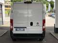 Fiat Ducato 30 L2H2 120 Weiß - thumbnail 12