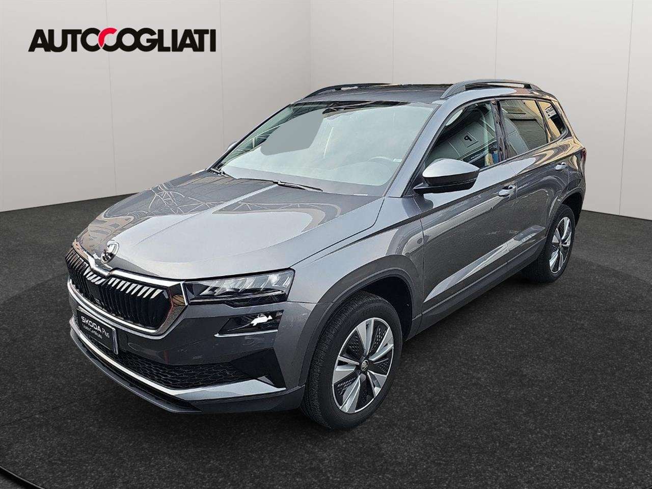 Skoda Karoq Karoq 2.0 tdi Executive 115cv