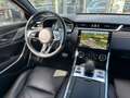 Jaguar XF D200 Sportbrake SE|Meridian|AHK|Panorama Grün - thumbnail 9