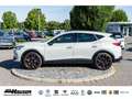 CUPRA Formentor VZ5 EDITION TAIGA GREY 2.5 TSI DSG 4Drive BEATS MA Grau - thumbnail 2