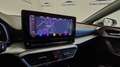 SEAT Leon 1.0 TSI S&S FR 25º Aniversario 110 Blanco - thumbnail 26